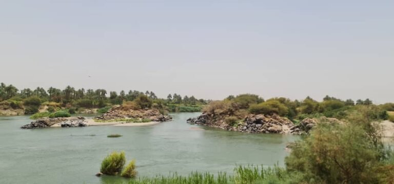 ميسون الفاضل