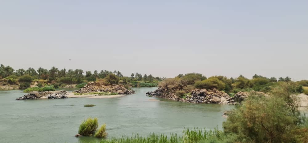 ميسون الفاضل